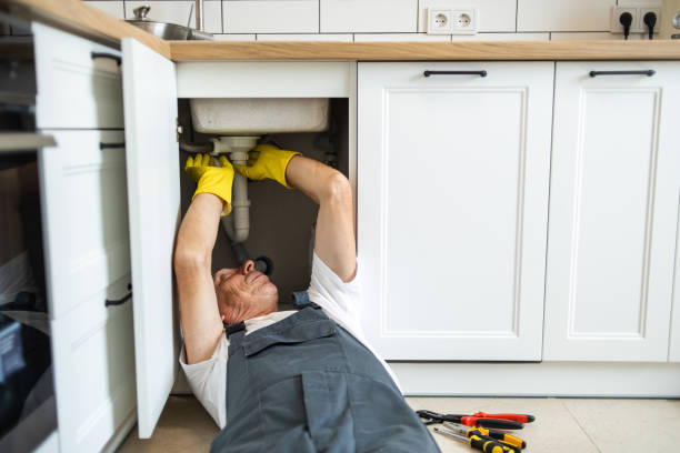 Best Water Softener Installation  in Arcadia, IN