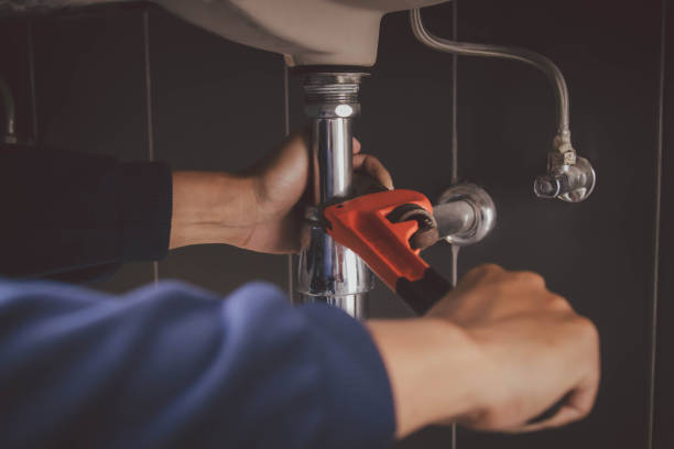Best Local Plumber Services  in Arcadia, IN