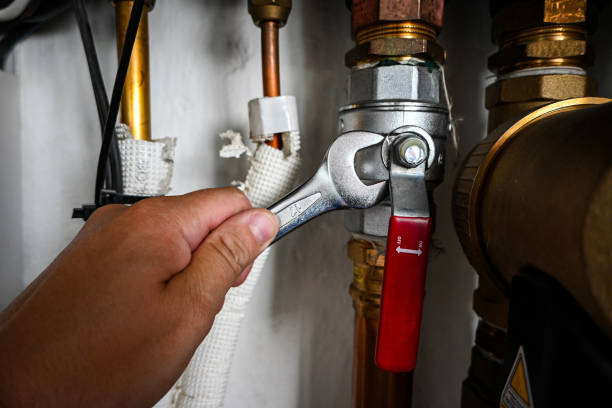 Best Emergency Plumbing Repair  in Arcadia, IN